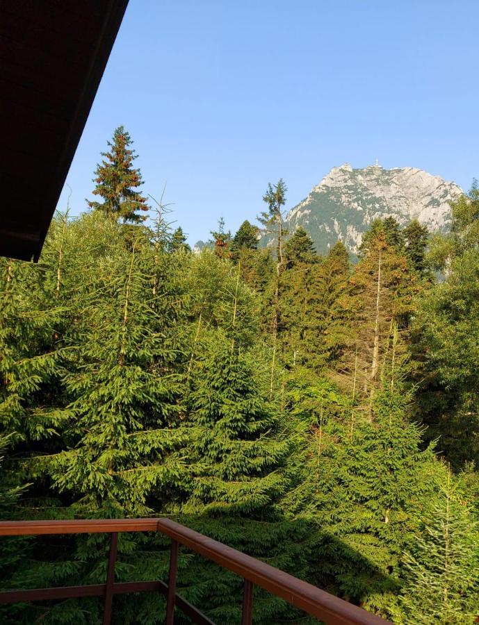 C House Buşteni Exterior foto